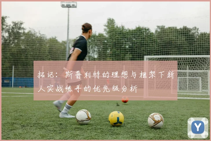 拓记：斯普利特的理想与框架下新人实战练手的优先级分析