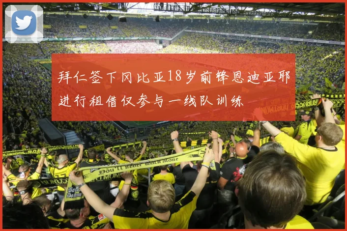 拜仁签下冈比亚18岁前锋恩迪亚耶进行租借仅参与一线队训练