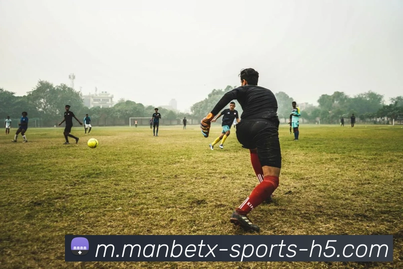 万博体育APP 高清赛事图